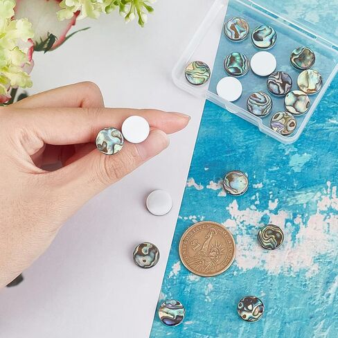 SUPERFINDINGS 20pcs Paua Shell Cabochons, 12x3mm, Natural Abalone Flat Round Beads for Jewelry Making, DIY Crafts & Embellishments in Saudi Arabia