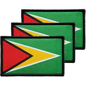 3pcs guyana guyanese flag patch 2x3 بوصة ، خطاف حلقة التكتيكية المطرزة بتصحيحات العلم في دولة الظهر للظهر.