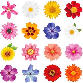 480pcs ملصقات الفراشة وملصقات الزهور ، شارات الفراشة بالألوان المائية ، زهرة الربيع الملونة وملصقات الفراشة لزجاجات ماء القصاصات.