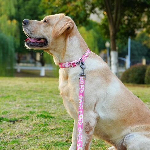 Reflective Dog Collar Leash Set, 5ft or 150CM Matching Leash, Floral Pattern, Durable Nylon with Reflective Stripes, 4 Sizes for Small Medium Large Dogs.(S, Pink Daisy) in Saudi Arabia