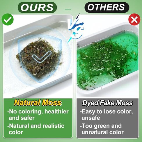 Alphatool 5oz Natural Green Moss for Crafts Beginners - Starter Moss for Plants Indoor, Artificial Fairy Gardens, Mini Mosswall, Glass Terrariums, Filling Fake Plants, Home Decoration in Kuwait