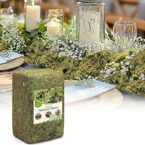 Alphatool 5oz Natural Green Moss for Crafts Beginners - Starter Moss for Plants Indoor, Artificial Fairy Gardens, Mini Mosswall, Glass Terrariums, Filling Fake Plants, Home Decoration in Kuwait