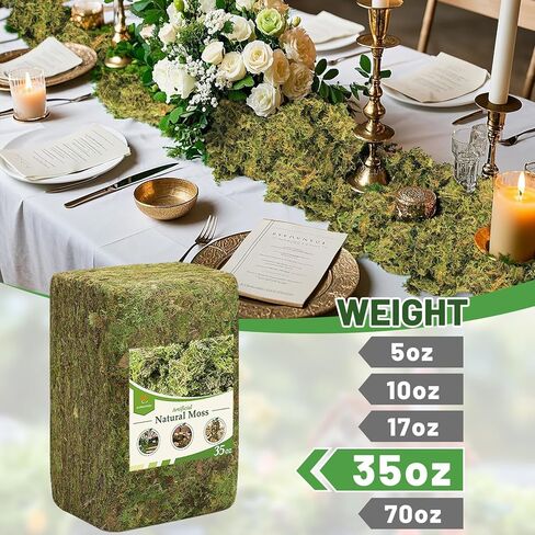 Alphatool 5oz Natural Green Moss for Crafts Beginners - Starter Moss for Plants Indoor, Artificial Fairy Gardens, Mini Mosswall, Glass Terrariums, Filling Fake Plants, Home Decoration in Kuwait