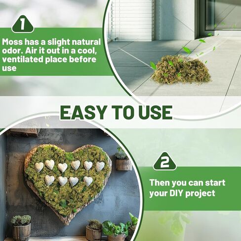 Alphatool 5oz Natural Green Moss for Crafts Beginners - Starter Moss for Plants Indoor, Artificial Fairy Gardens, Mini Mosswall, Glass Terrariums, Filling Fake Plants, Home Decoration in Kuwait