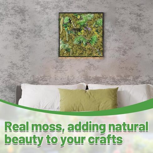 Alphatool 5oz Natural Green Moss for Crafts Beginners - Starter Moss for Plants Indoor, Artificial Fairy Gardens, Mini Mosswall, Glass Terrariums, Filling Fake Plants, Home Decoration in Kuwait