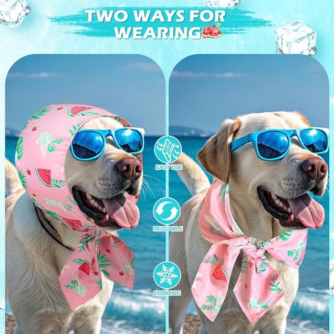 EXPAWLORER Dog Cooling Bandana - Summer Dog Bandanas with Ice Bag & Thermal Insulation Layer, Reusable Freezing Gel Cooling Pet Scarf for Hot Days, Neck Cooler for All Breeds (Blue Green, L) in Kuwait