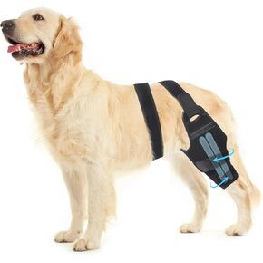 Adjustable Dog ACL Knee Brace – Rear Leg Support for Cruciate Ligament Recovery, Arthritis & Joint Pain Relief (Right,S)