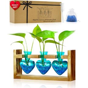 NACOME PLANT TERRARIUM لديكور المكتب: هدايا عيد ميلاد يوم الأم لعشاق النباتات أمي أمي زوجة - موقف خشبي منضدة زارع 3 لمسة زجاجية مزهرية على شكل HEART HOME HOME