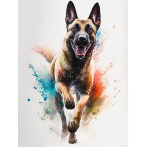مجموعات اللوحات الماس Hmdiimge ، 5D بلجيكي Malinois مجموعات فن الماس ، الحيوانات اللطيفة تدريبات كاملة للبالغين والمبتدئين ، مجموعات الرسم الماس للكلاب مثالية لديكور الجدار المنزلي 12x16 بوصة