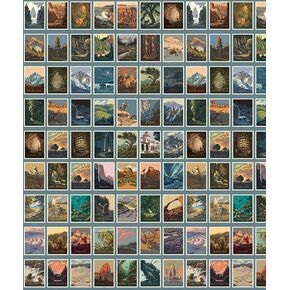 Riley Blake All Newly Designed National Parks Postcards Panel with Blue Borders, Quilting, Apparel and Home Decor Fabric (Blue 23"x43")