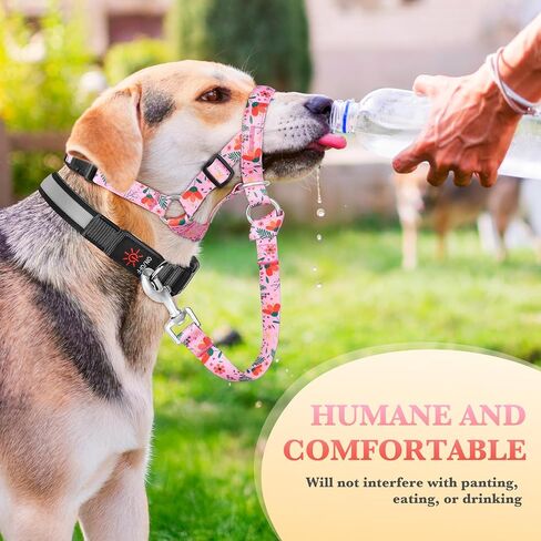 No-Pull Dog Headcollar, Gentle Lead for Large Dogs to Stop Heavy Pulling, Anti-Pull Head Halter Muzzle for Easy Control on Walks (Pink, Large) in Kuwait