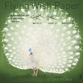 Flying Wish Paper Peacock ، اكتبه ، إضاءة ، شاهده يطير ، تبدو رائعًا! - 5 "× 5" مجموعة مصغرة سحرية غريب الأطوار