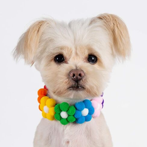 2PCS Dog Cat Collar Rainbow Hairball Flower Velcro Pet Necklace Cute Neck Strap for Pet Costume Supplies in Kuwait