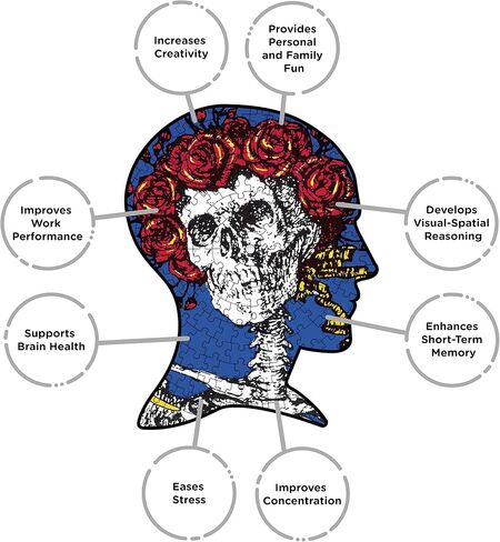 AQUARIUS Grateful Dead Skull & Roses Record Disc Puzzle (450 Piece Jigsaw Puzzle) - Glare Free - Precision Fit - Officially Licensed Merchandise & Collectibles - 12x12 in in Saudi Arabia