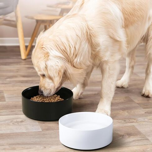 يينغفان السيراميك أوعية الكلب 28 أوقية البورسلين أوعية الكلب للكلاب الصغيرة المتوسطة الكلاب السيراميك ووعاء الماء للكلاب ميكروويف وغسالة الصحون آمنة (أخضر) in Kuwait