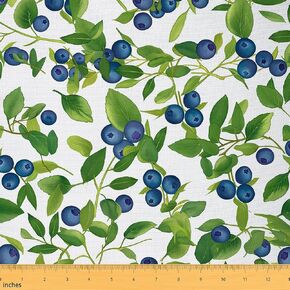 Feelyou Blueberries Fabric by the Yard 5 Yards Fresh Fruits Decorative Froof Outdoor Abom