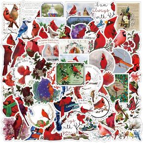 61 PCS Cardinal Vinyl Animal Bird Pircts Tealproof Doorplicers for Kids Girls Boy Teens Onters for bottles actop accasure for birstrid