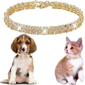 طوق سلسلة الكلاب Cubic Zirnia Bling Twhip for Puppy Kitty Gold Termable Cat Termable with Iced Out Stones Watch Band (Gold ، 8 ")