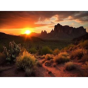 Betepefet DIY 5D Diamond Art Kits Painting for Adults Superstition Mountains Sunset Arizona Western Desert Cactus Landscape（5） 30x40cm/11.7x15.9inches