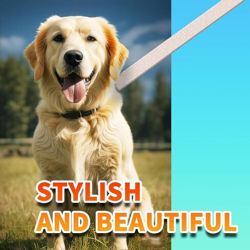 Dog Leash with Neoprene Handle, Dog Training Leash, 6FT Cute Durable Polyester Dog Leashes for Medium & Large Dogs Walking Boho Sunflower in Kuwait
