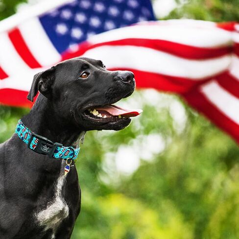 Elegant little tail Independence Dog Collar, 4th of July Holiday Pet Collars Cotton Patriotic Puppy Girl or Boy Soft Pet Gift Adjustable Dog Collar for Small Medium Large Dogs in Saudi Arabia