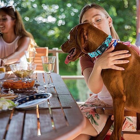 Elegant little tail Independence Dog Collar, 4th of July Holiday Pet Collars Cotton Patriotic Puppy Girl or Boy Soft Pet Gift Adjustable Dog Collar for Small Medium Large Dogs in Saudi Arabia