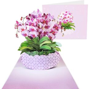 CENTRAL 23 Popup Cards Mother's Day Valentine's - Purple Orchids Bouquet - Love Pop Up Greeting Cards - Pop Up Birthday Cards For Women - Flowers Gifts For Mom Aunt Nan Wife - Comes With Stickers