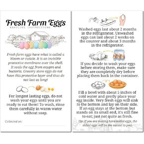200 PCS - Premium Fresh Fresh Beags Fallling Care Care Exacptories Cards Labels | 4 6 12 15 18 30 48 50 بيضة فارغة حاوية سلة سلة تخزين منظم إضافي (200)