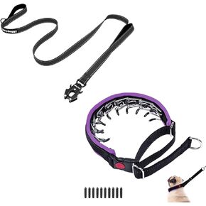 Strong Reflective Heavy Duty Dog Collar and Leash 6ft for Large Medium Small Dogs Purple M