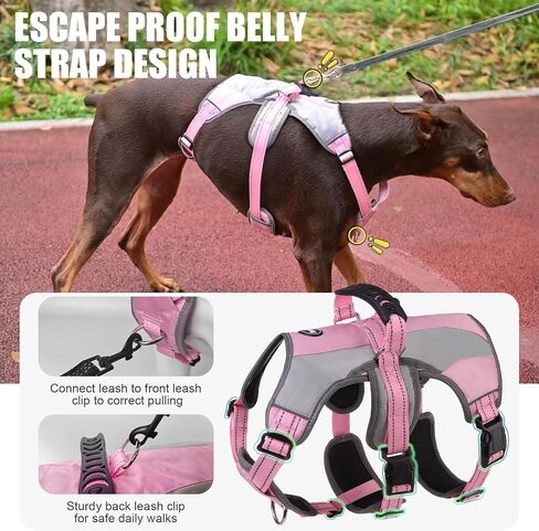 Mihachi Dog Harness for Medium Dogs, Escape Proof No Pull Service Vest with Reflective Strips and Control Handle, Adjustable and Cozy for Easy Walking, No Choke Pet Harness with 2 Metal Rings, Blue M in Saudi Arabia