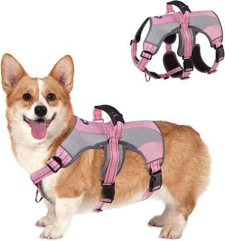 Mihachi Dog Harness for Medium Dogs, Escape Proof No Pull Service Vest with Reflective Strips and Control Handle, Adjustable and Cozy for Easy Walking, No Choke Pet Harness with 2 Metal Rings, Blue M in Saudi Arabia