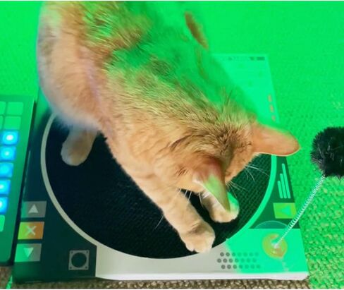 Vinyl Record Player Cat Scratcher - Cardboard Cat Scratch Pad Cat Dj Scratching Board Cat Fun Play Toys Stick to Wall 13.8" (Black) in Kuwait
