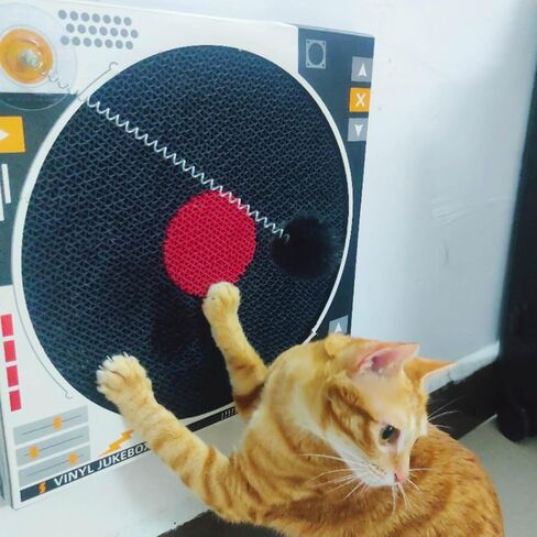 Vinyl Record Player Cat Scratcher - Cardboard Cat Scratch Pad Cat Dj Scratching Board Cat Fun Play Toys Stick to Wall 13.8" (Black) in Kuwait