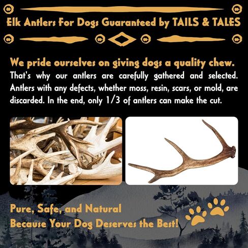 ذيول وحكايات عظام الأيائل الكاملة للكلاب الصغيرة 4-6 "عظام الكلاب طويلة الأمد ودائمة للمضغرين العدوانيين أو الجراء التسنين لا تضافات ، فائقة الصف أ ، سقيفة بشكل طبيعي في الولايات المتحدة الأمريكية in Kuwait