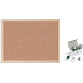 U Brands Cork Bulletin Board with Succulent 9 Count Push Pins Set Bundle, 17 x 23 Inches, Light Birch Wood Frame