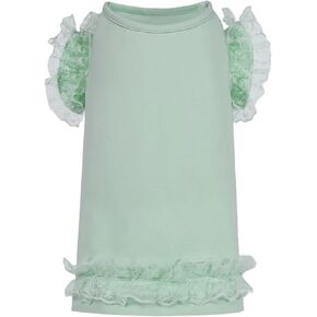 Dog Green Lace Designer ملابس ملابس صغيرة متوسطة الفتاة جرو للحيوانات الأليفة فساتين ملابس الملابس الحجم XS S M L XL