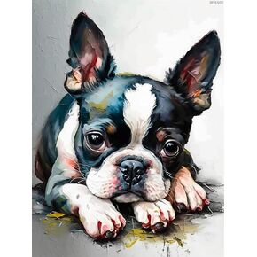 IPISSOI 5D Diamond Painting Poor Dog Full Diamond Painting Diamond Art, DIY Animal Close-Ups Gem Painting Kit Norwegian Terrier Cross Stitch Rhinestone Wall Home Decoration 12x16 inch