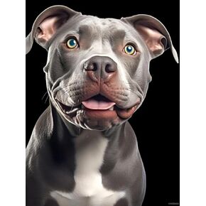 Hmdiimge Pit Bull في خلفية مظلمة مجموعات الطلاء الماس للبالغين ، Pitbull Dog Diamond Art ، Gemstone Gemstone Crystal Crystal Art Handmade Kit 12x16 Inch