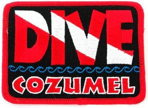 Dive Catalina Patch Embroidered Iron On Scuba Diving Flag Emblem California Souvenir in Saudi Arabia