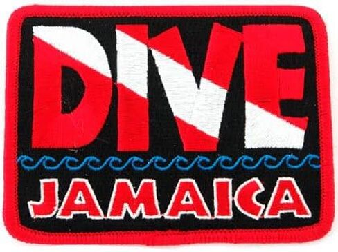 Dive Catalina Patch Embroidered Iron On Scuba Diving Flag Emblem California Souvenir in Saudi Arabia