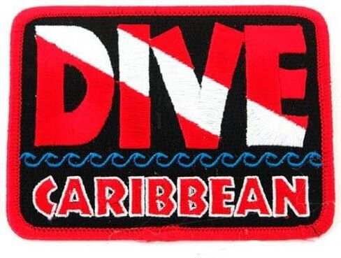 Dive Catalina Patch Embroidered Iron On Scuba Diving Flag Emblem California Souvenir in Saudi Arabia