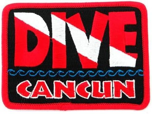 Dive Catalina Patch Embroidered Iron On Scuba Diving Flag Emblem California Souvenir in Saudi Arabia