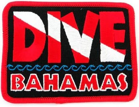 Dive Catalina Patch Embroidered Iron On Scuba Diving Flag Emblem California Souvenir in Saudi Arabia