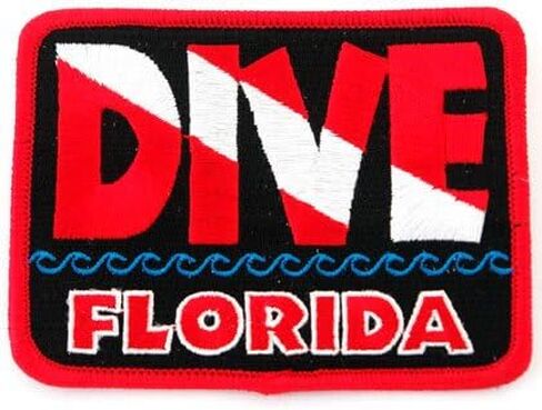 Dive Catalina Patch Embroidered Iron On Scuba Diving Flag Emblem California Souvenir in Saudi Arabia