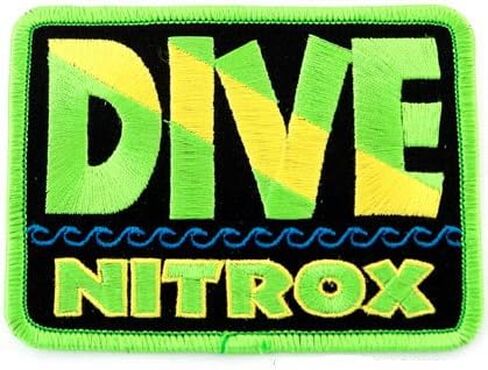 Dive Catalina Patch Embroidered Iron On Scuba Diving Flag Emblem California Souvenir in Saudi Arabia
