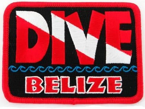 Dive Catalina Patch Embroidered Iron On Scuba Diving Flag Emblem California Souvenir in Saudi Arabia