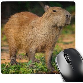 3Drose الماوس وسادة البرازيل ، بانتانال A Capybara المشي بفخر. - 8 × 8 بوصات (MP_278232_1) ، أبيض