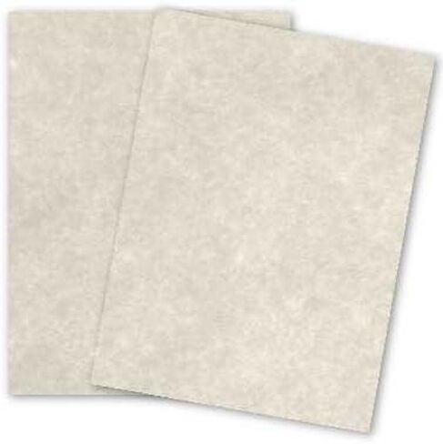 Astroparche - GRAY - 8.5 x 11 Parchment Card Stock - 65lb Cover - 250 PK in Saudi Arabia