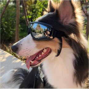 نظارات الحيوانات الأليفة الناكوكو نظارة شمسية الكلب Golden Retriever Golden Samoyed Goggles Big Dog Sunglasses (Black)