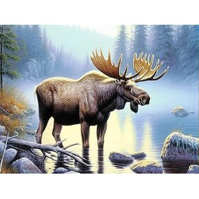 Bimkole 5D Diamond Painting Kits Elk Creek Woods, Full Drill Animals DIY Rhinestone Embroidery Set Paint with Diamonds Art by Number Kits Cross Stitch Home Wall Craft Decoration (16x20inch)